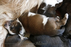 Woche2_3
