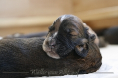 Woche2_5