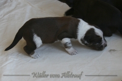 Woche2_7