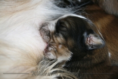 Woche2_9