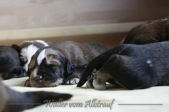 woche_3-15