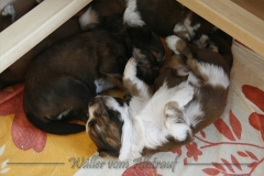 woche_4_10