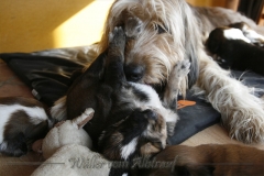 woche_4_11