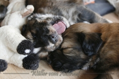 woche_4_12