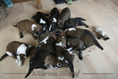 woche_4_13