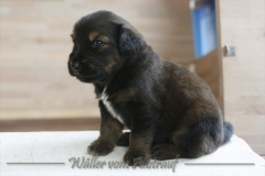 woche_4_18
