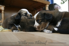 woche_4_21
