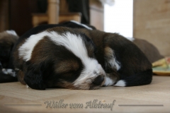 woche_4_23