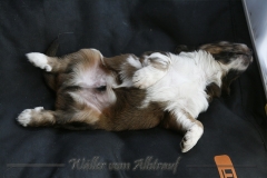 woche_4_24
