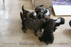 woche_4_25