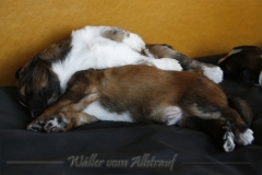 woche_4_6