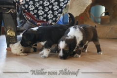woche_4_8