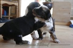 woche_4_9