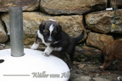 woche_5-16