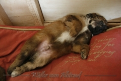 woche_5-22