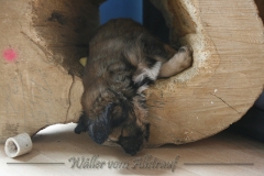 woche_5-28
