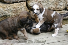 woche_6-10