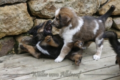 woche_6-11