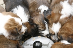 woche_6-13