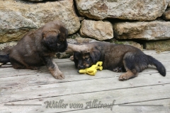 woche_6-5