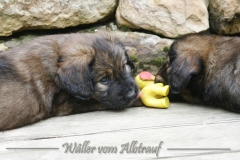 woche_6-6