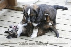 woche_6-7