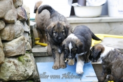woche_7-1