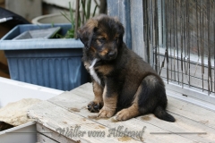 woche_7-10