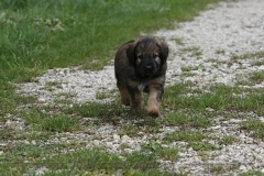 woche_7-21