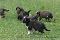 woche_7-22