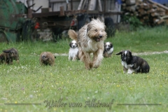 woche_7-27