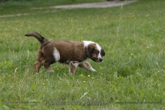 woche_7-29