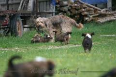 woche_7-38