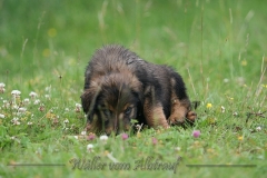 woche_7-41