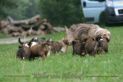woche_7-42