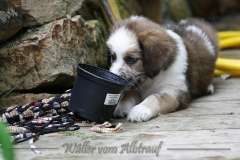 woche_7-5