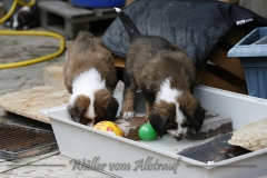 woche_7-8