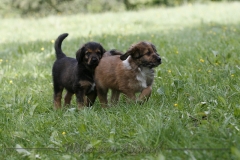 woche_8-10