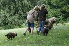 woche_8-12