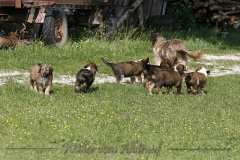 woche_8-2