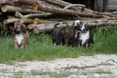 woche_8-5