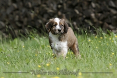 woche_8-6