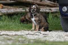 woche_8-7