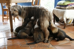 B-Wurf Woche 9