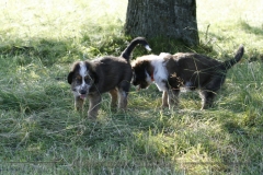 woche_9-22