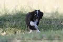 woche_9-24