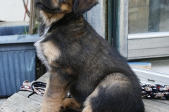 woche_9-7-bela
