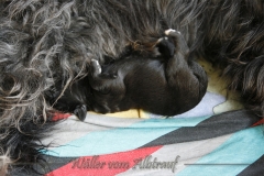 woche1-11