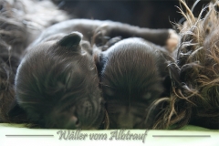 woche1-13