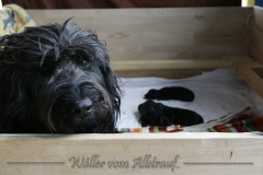 woche1-5